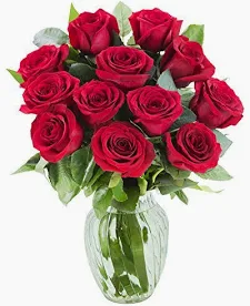 Doug Otter Death North Olmsted Ohio Obituary, Beloved Resident has Died